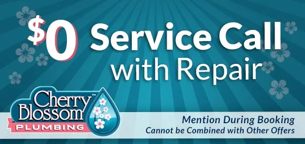 $0 Service Call with Repair - Cherry blossom