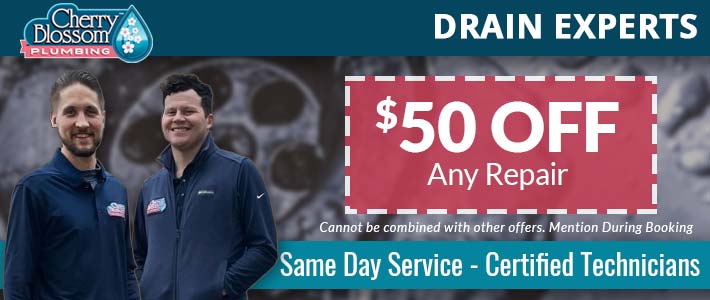 woodruff Drain Cleaning & Repair Cherry Blossom Plumbing