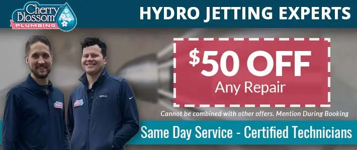 woodruff Hydro Jetting Cherry Blossom Plumbing