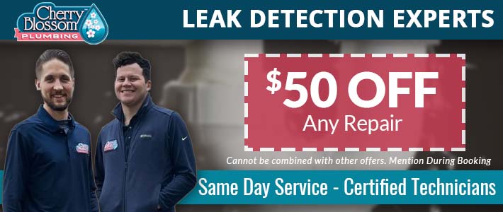 woodruff Leak Detection Cherry Blossom Plumbing