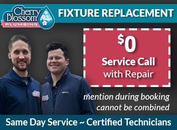 woodruff fixture replacement Cherry Blossom Plumbing