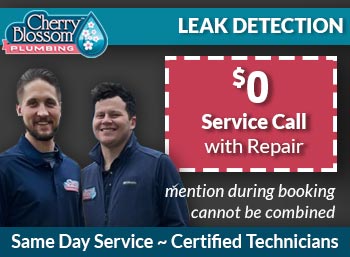 woodruff Leak Detection Cherry Blossom Plumbing