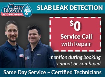 woodruff Slab Leak Detection Cherry Blossom Plumbing