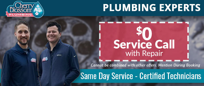 woodruff Plumbing  Service Cherry Blossom Plumbing