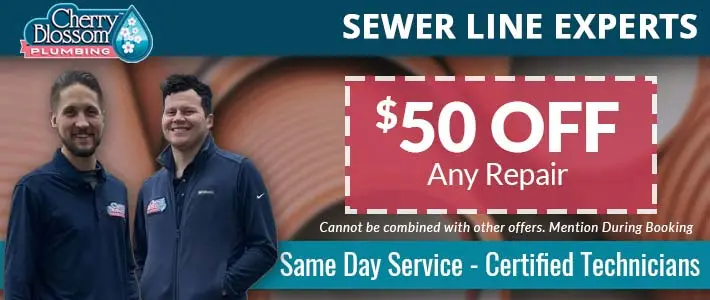 woodruff Sewer Lines Cherry Blossom Plumbing