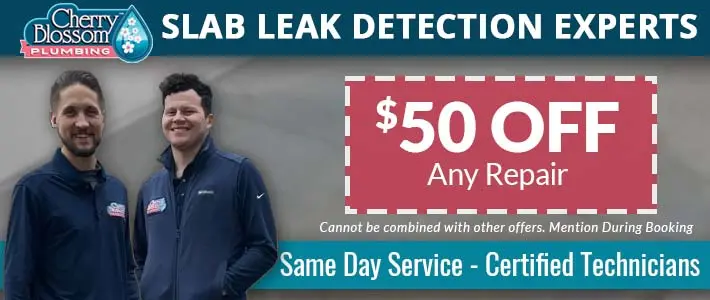 woodruff Slab Leak DetecionCherry Blossom Plumbing