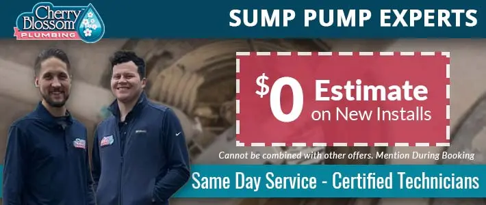 woodruff Sump Pumps Cherry Blossom Plumbing
