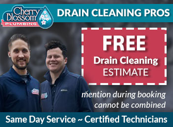 northern virginiadrain cleaning & repair Cherry Blossom Plumbing
