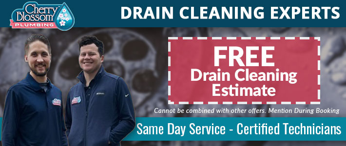 northern virginia Drain Cleaning & Repair Cherry Blossom Plumbing