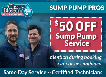 northern virginia Sump Pumps Cherry Blossom Plumbing