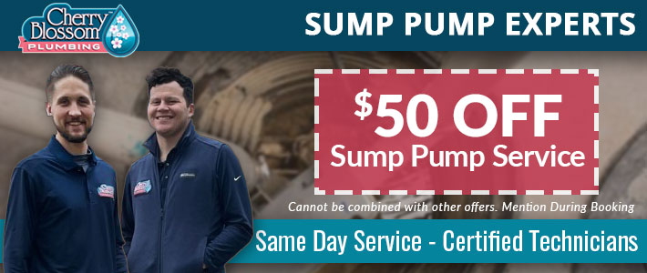northern virginia Sump Pumps Cherry Blossom Plumbing